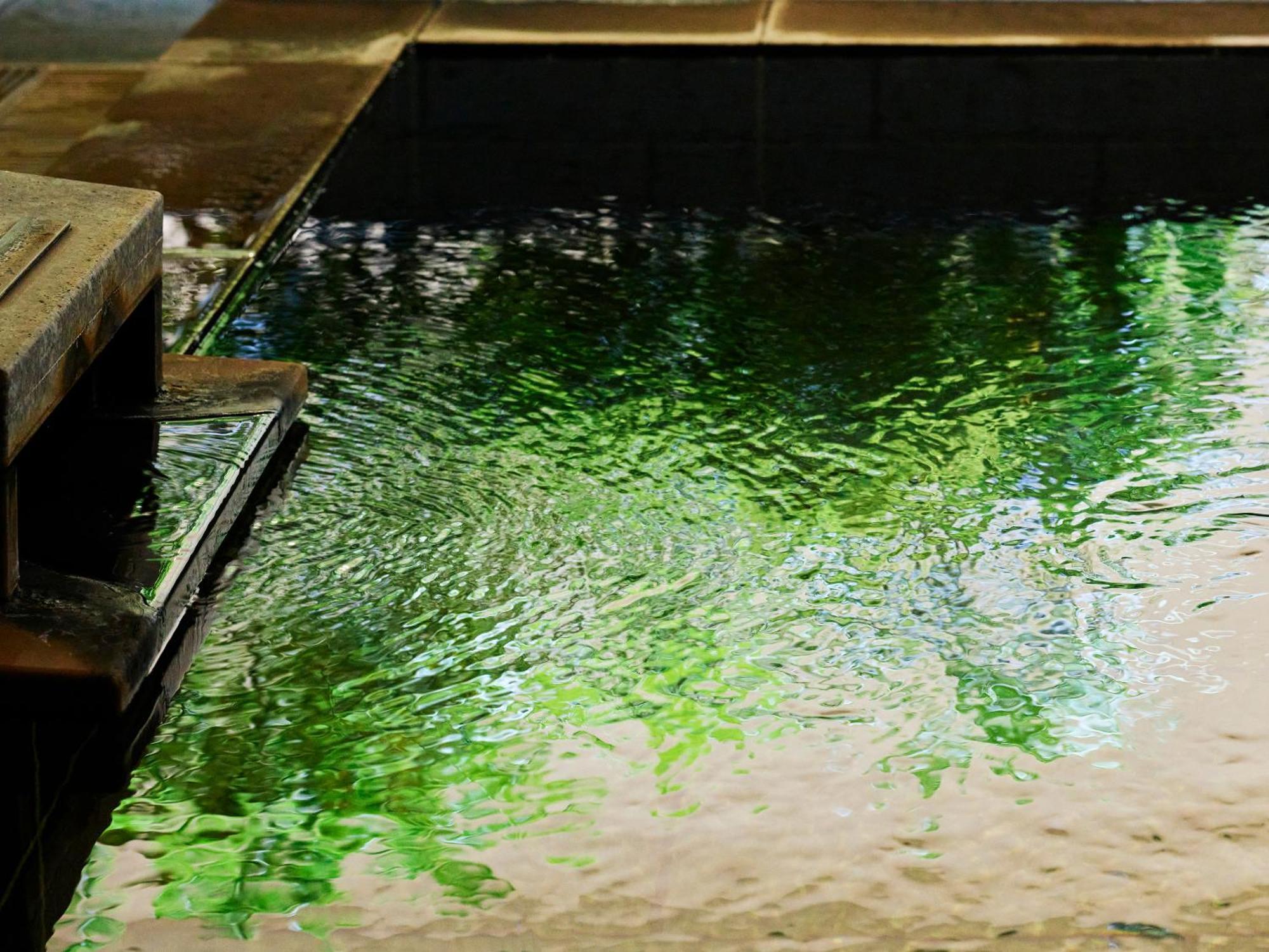 Mitsui Garden Hotel Kashiwa-No-Ha - Chiba Kültér fotó